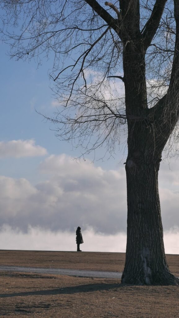 solitary figure by leafless tree in winter landscape